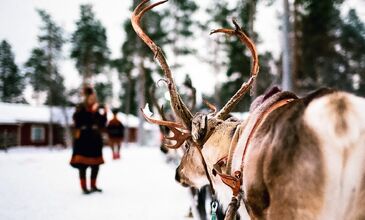 Büyüleyici Kuzey Işıkları ile Laponya Turları (Tüm Safariler Dahil)