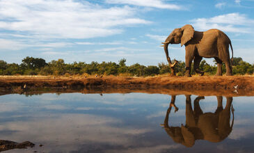 Afrika Büyüsü : Güney Afrika & Victoria Şelaleleri & Botswana Turları
