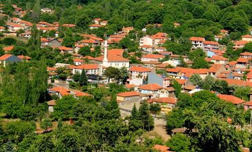 Günübirlik Ödemiş Birgi Gölcük Bozdağ Köyü Turu (Kırkoluklar Çeşmesi)