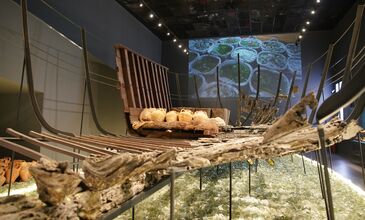 Kış Güneşi Bodrum Turu