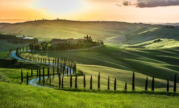 Toscana Vadisi ve Bağları