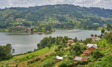 Gümüş Sırtlı Gorillerin İzinde RUANDA - UGANDA