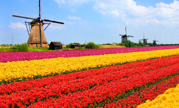 İzmir Çıkışlı Bayram Ve Sömestre Özel Belçika & Hollanda Ve Şirin Kasabaları