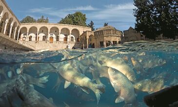 Otobüslü Büyük Gap & Doğu Anadolu Turu (9 Gece Konaklama`lı) 2026