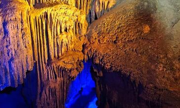 Düzce Şelaleri Efteni Gölü Akçakoca Maşukiye Turu