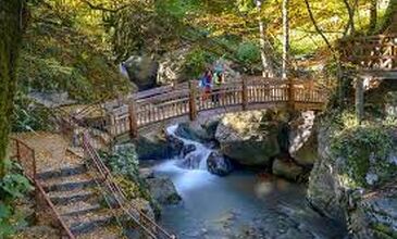 Düzce Şelaleri Efteni Gölü Akçakoca Maşukiye Turu