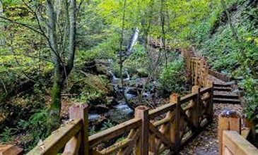 Düzce Şelaleri Efteni Gölü Akçakoca Maşukiye Turu