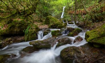 Düzce Şelaleri Efteni Gölü Akçakoca Maşukiye Turu