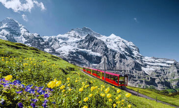 Kurban Bayramı Özel Almanya Fransa İsviçre Turu (Alpler`de Tren Yolculuğu ve Alsace Colmar)