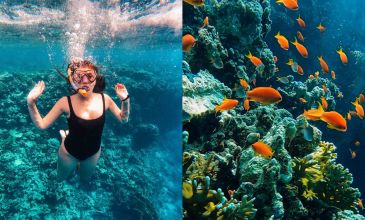 İzmir Hareketli Sunexpress İle Sharm El Sheikh Turu 3 Gece