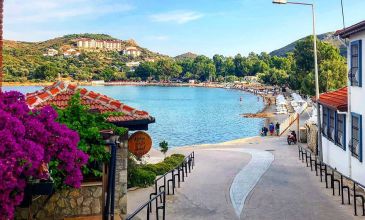 Günübirlik Datça Badem Çiçeği Festivali