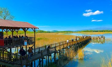 Göllerden Falezlere: Batı Karadeniz Esintisi Abant, Gölcük, Safranbolu, Zonguldak, Düzce