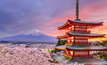 Dolu Dolu Sakura Dönemi Japonya & Kore Turu Mistik Rotalar 10 Gün 7 Gece