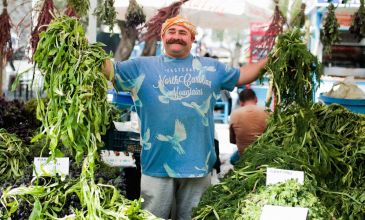 Günübirlik Alaçatı Ot Festivali & Sığacık Turu