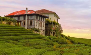 İzmir'den Vizesiz Uçakla Kars Tiflis Batum Turu